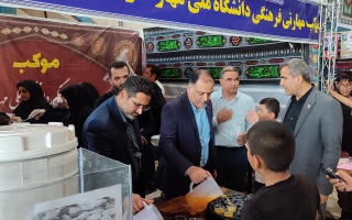 بازدید معاون فرهنگی و دانشجویی و مدیرکل حوزه ریاست و روابط عمومی دانشگاه ملی مهارت از موکب اربعین و آموزشکده‌های پسران و دختران ایلام